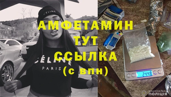 твердый Магас
