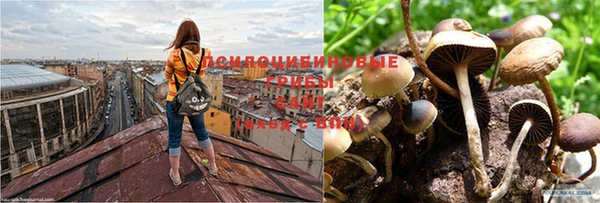 индика Алексеевка