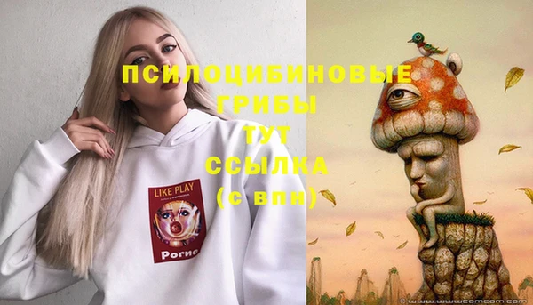 мяу мяу кристалл Алексин