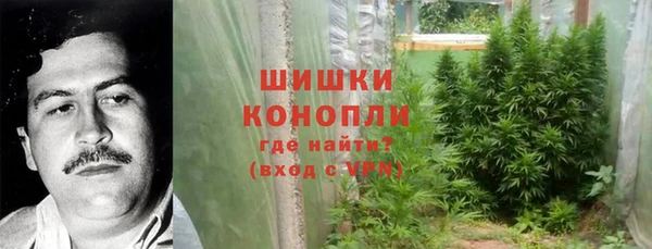 индика Алексеевка