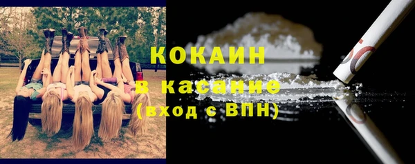 твердый Магас