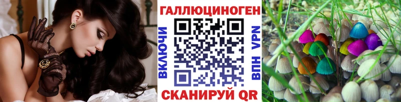 Галлюциногенные грибы прущие грибы  Казань 